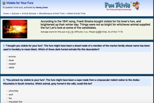 Violets For Your Furs